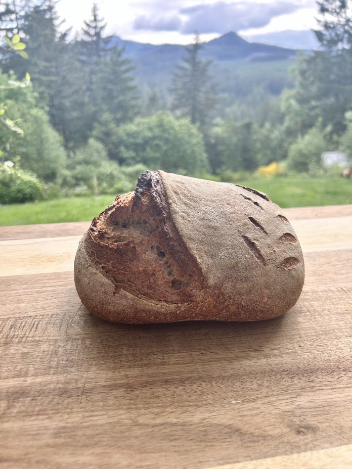 The BEST whole grain Artisan Loaf recipe!