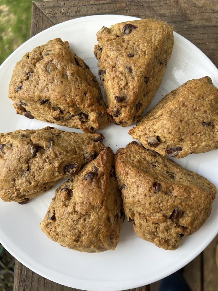Soft and fluffy sourdough whole wheat Scones